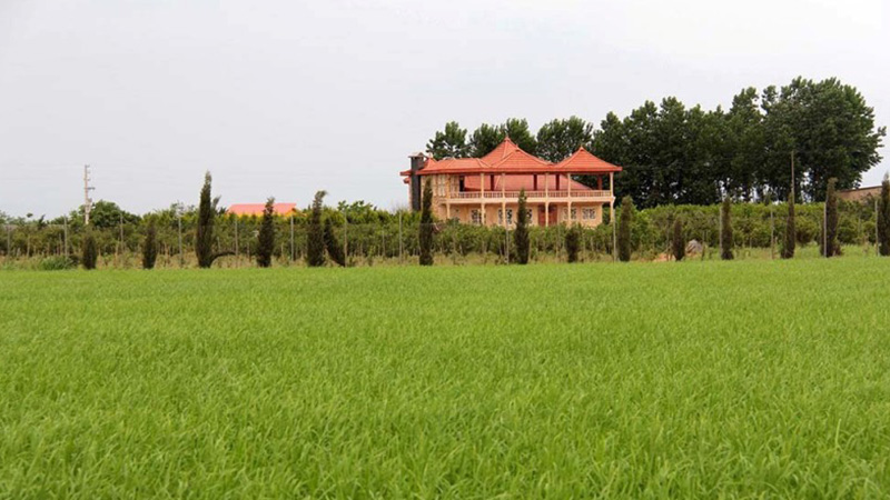 تصویر نمایش داده نشد